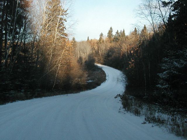 Snowy Road