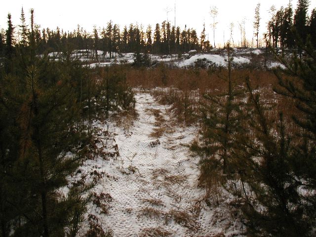 ATV Path