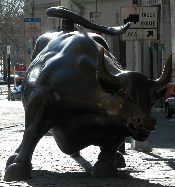 The Market Bull