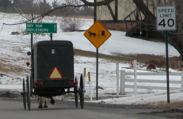 Horse and Buggy