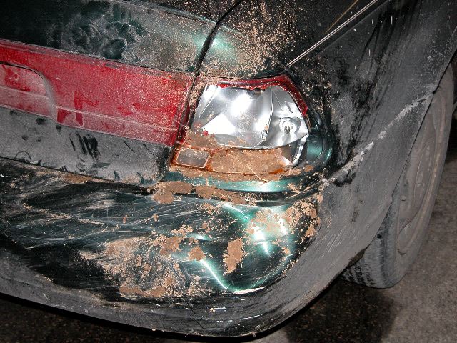 Busted Tail Light