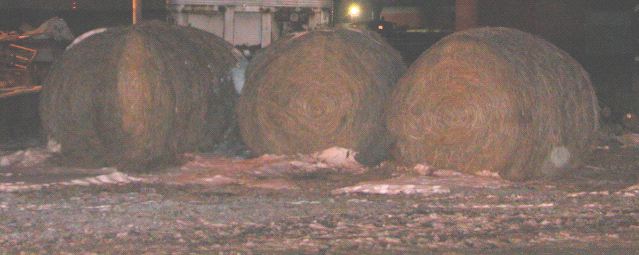 Bails of Hay