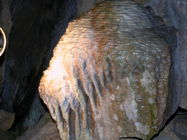 Beehive Formation