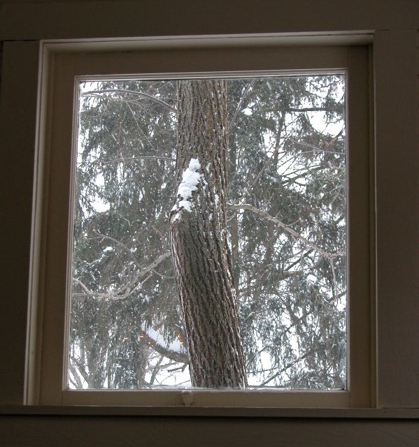 Snow Through Window