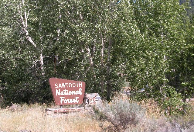 Sawtooth National Forest