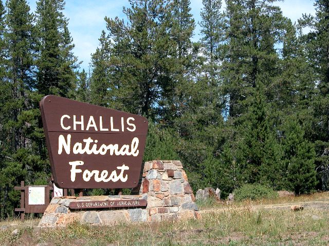 Challis National Forest