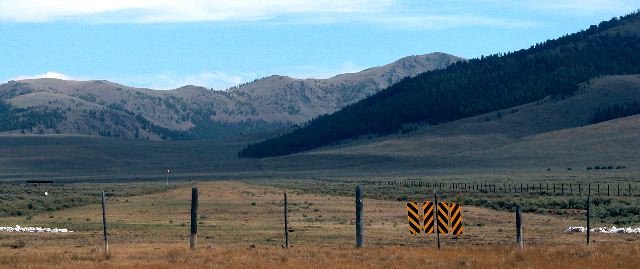 Grass Runway