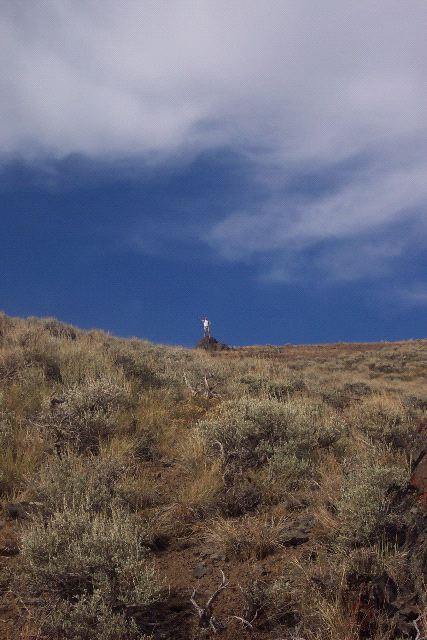 Chad Waits on Hill