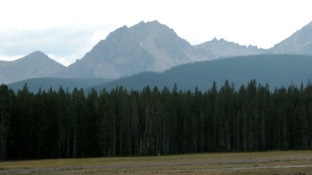 Mountain and Trees