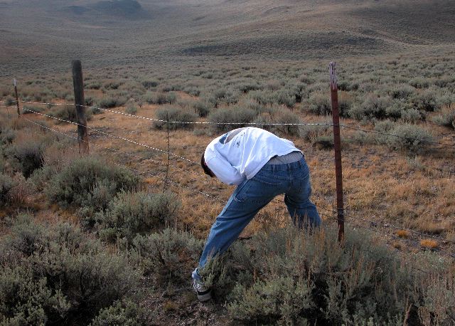 Chad Crosses the Barbed Wire Fence