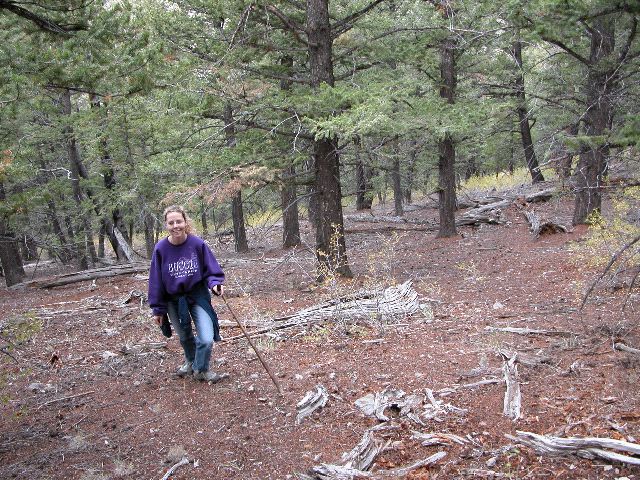 Marilyn in the Woods